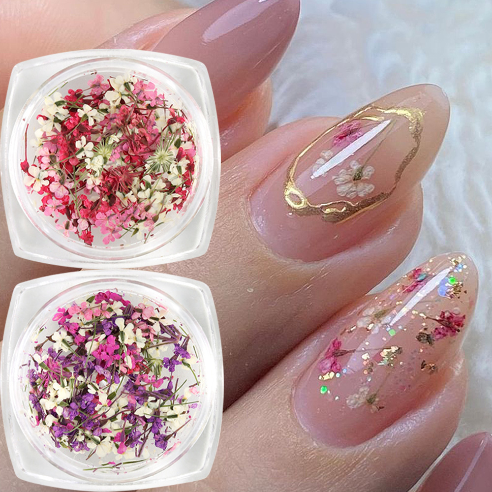 Mixed Colors Gypsophila False  - Dried Flower Bulk 评论和价格