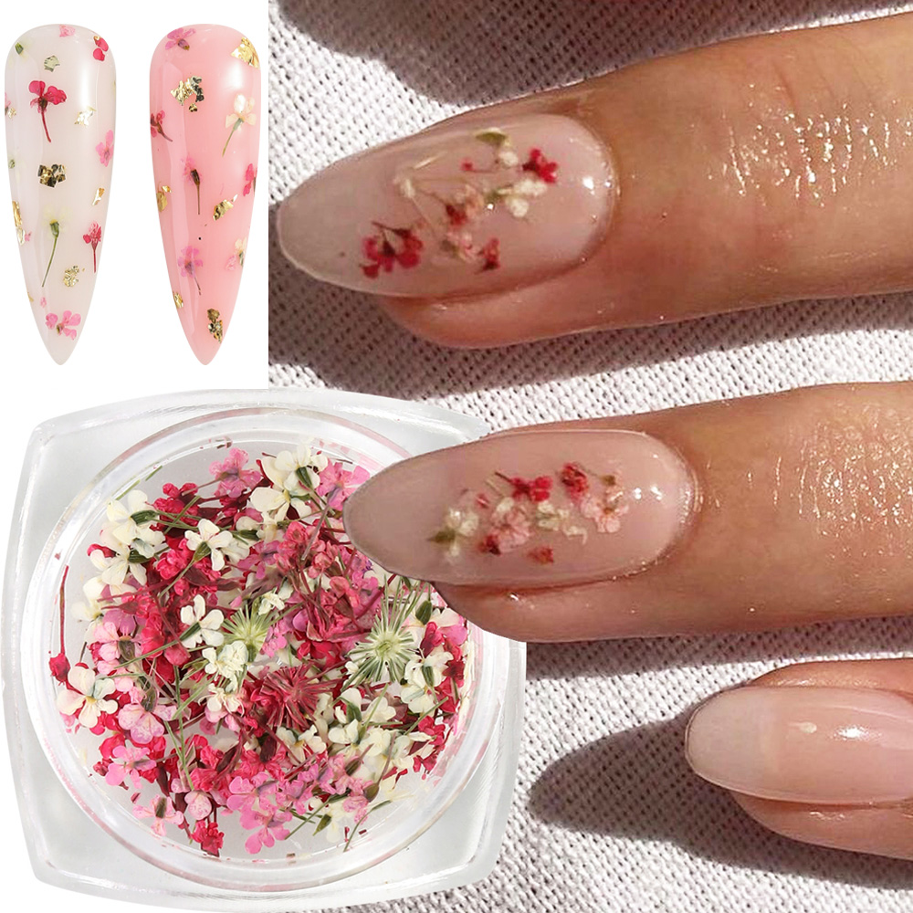 Mixed Colors Gypsophila False  - Dried Flower Bulk 评论和价格