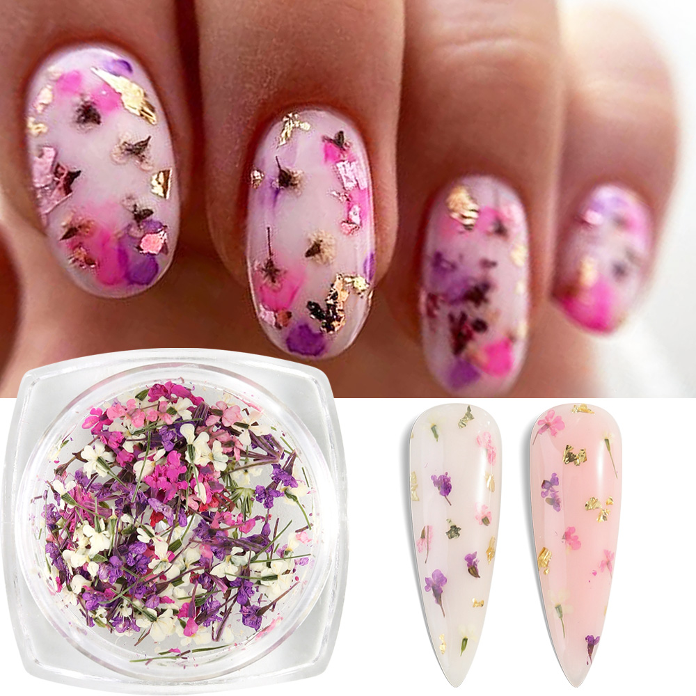 Mixed Colors Gypsophila False  - Dried Flower Bulk 评论和价格