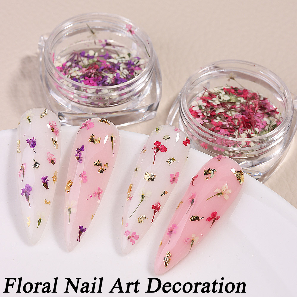 Mixed Colors Gypsophila False  - Dried Flower Bulk 评论和价格