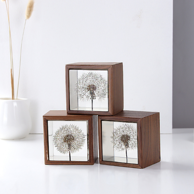 Dandelion preserved fresh flow - Flower Preservation Resin 评论和价格