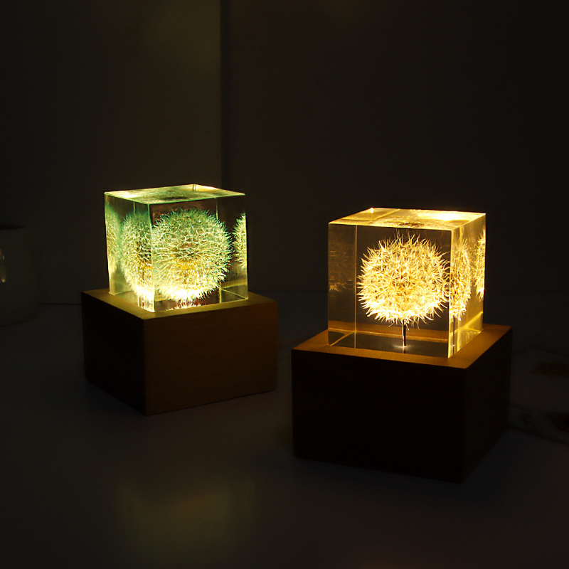 Dandelion preserved fresh flow - Flower Preservation Resin 评论和价格