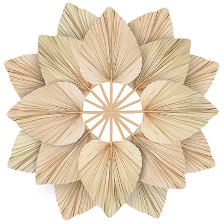 10 Large Bulk Boho Dried Palm  - Dried Flower Bulk 评论和价格