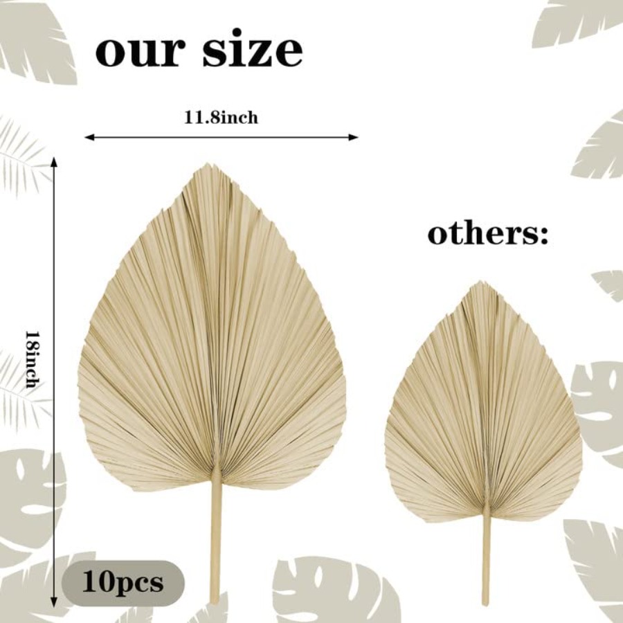 10 Large Bulk Boho Dried Palm  - Dried Flower Bulk 评论和价格