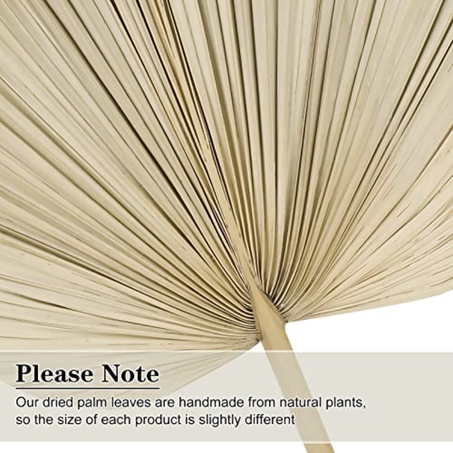 10 Large Bulk Boho Dried Palm  - Dried Flower Bulk 评论和价格