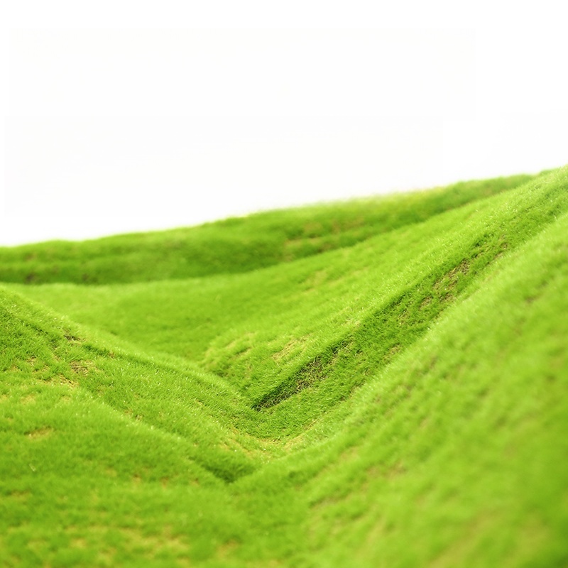 Artificial Turf Moss Grassland - Terrarium Moss Art 评论和价格
