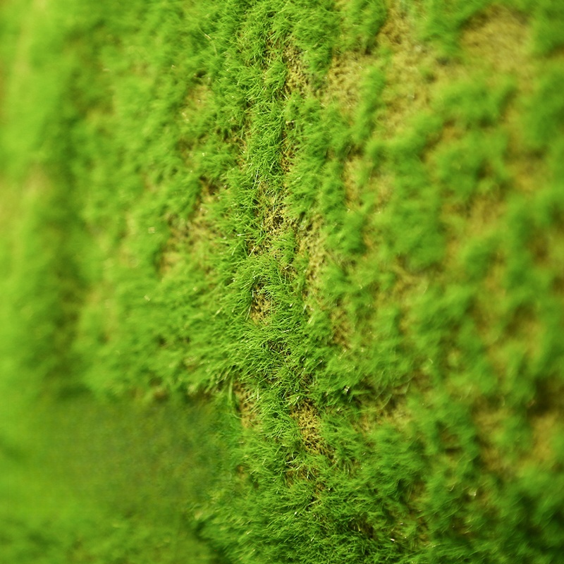 Artificial Turf Moss Grassland - Terrarium Moss Art 评论和价格