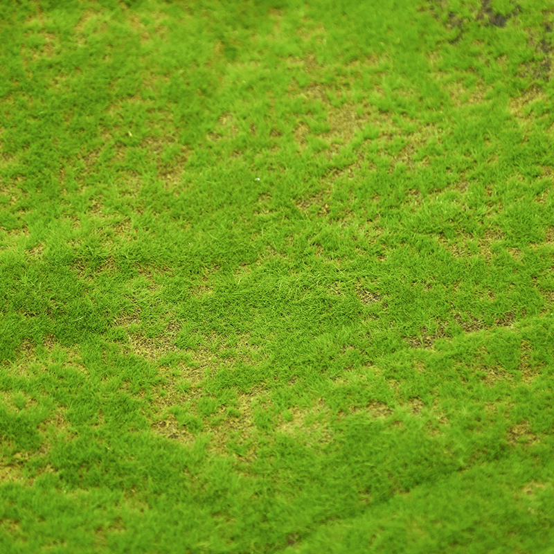 Artificial Turf Moss Grassland - Terrarium Moss Art 评论和价格