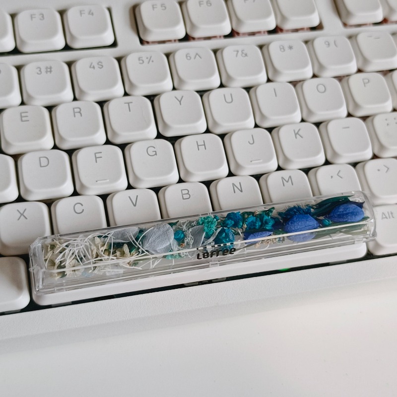 Spacebar Keycap Custom Preserv - Flower Preservation Resin 评论和价格