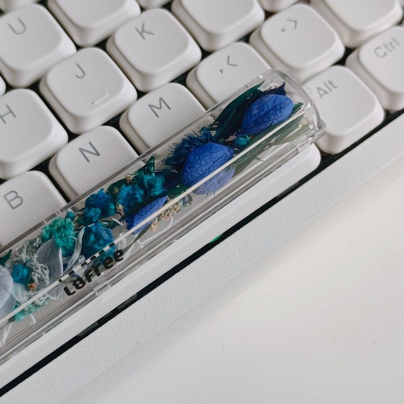 Spacebar Keycap Custom Preserv - Flower Preservation Resin 评论和价格