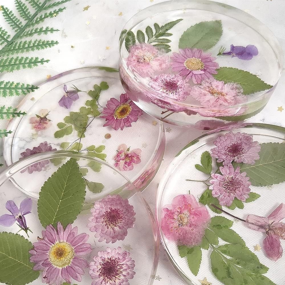 Creative Coasters Silicone Mol - Coaster Mold Round 评论和价格