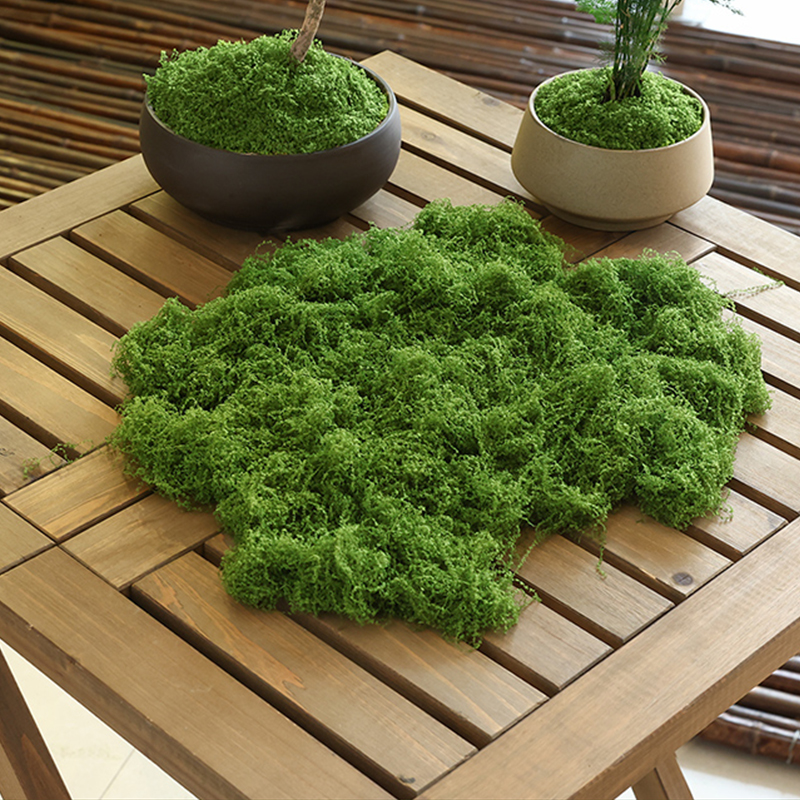 about 20g Artificial Green Pla - Terrarium Moss Art 评论和价格