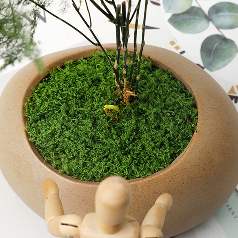 about 20g Artificial Green Pla - Terrarium Moss Art 评论和价格
