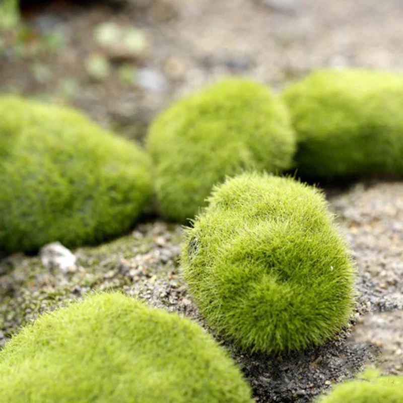 Fake Stone Artificial Moss Roc - Terrarium Moss Art 评论和价格