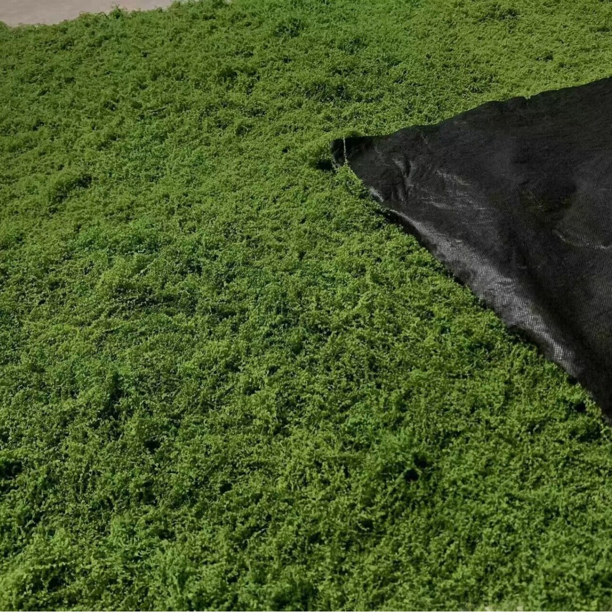 1*1m Fake Moss DIY Crafts Gras - Terrarium Moss Art 评论和价格