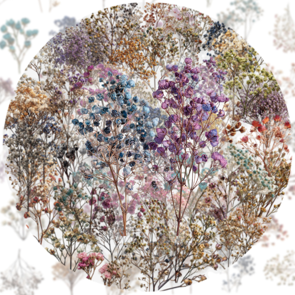 50PCS Retro Color Dried Flower - Dried Flower Bulk 评论和价格
