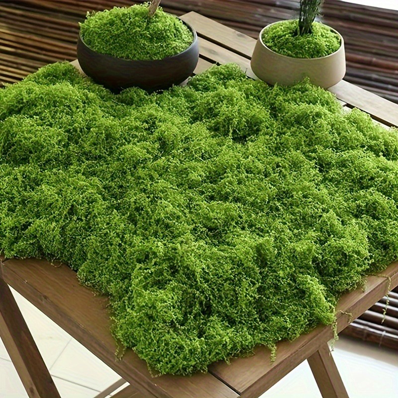 Green Fake Moss DIY Crafts Gra - Terrarium Moss Art 评论和价格