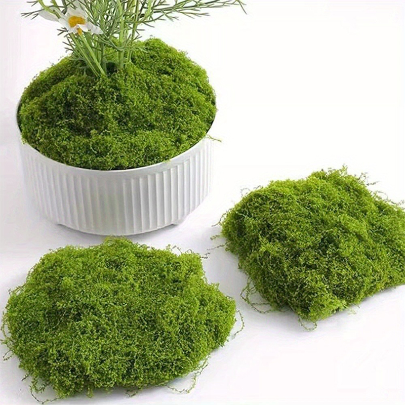 Green Fake Moss DIY Crafts Gra - Terrarium Moss Art 评论和价格