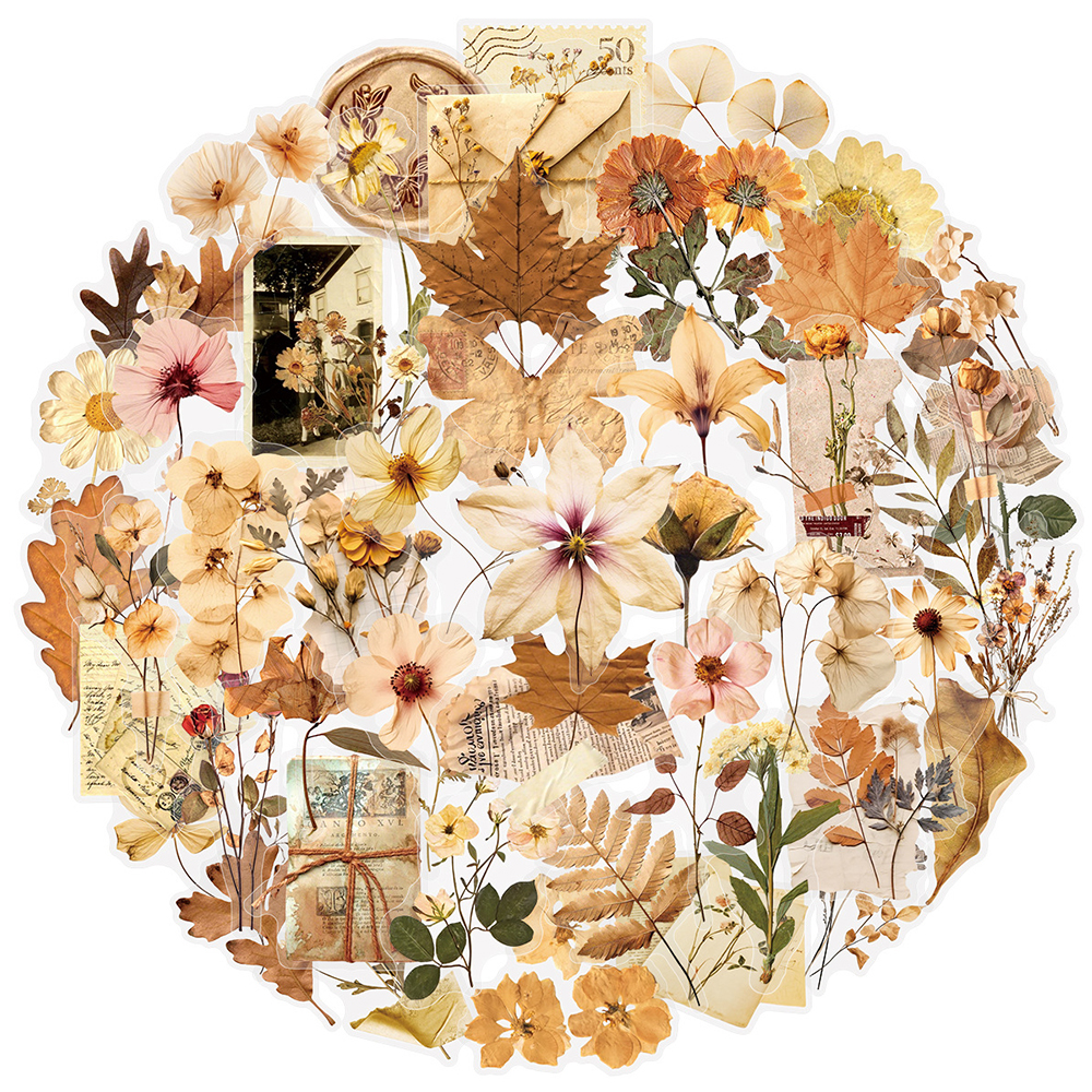 10/30/50pcs Transparent Dried  - Dried Flower Bulk 评论和价格