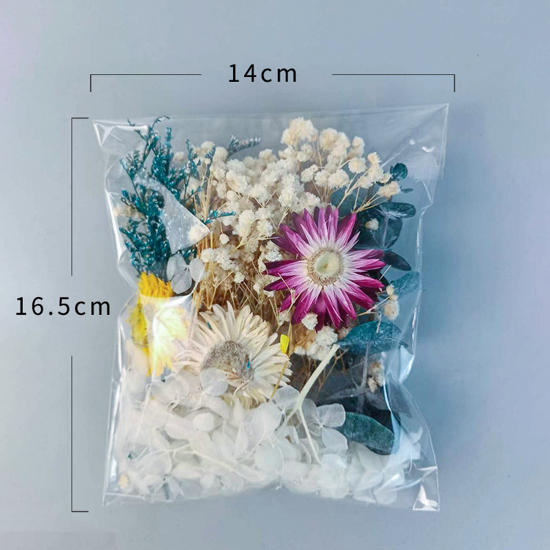 1pack Multifarious Dried Flowe - Dried Flower Bulk 评论和价格