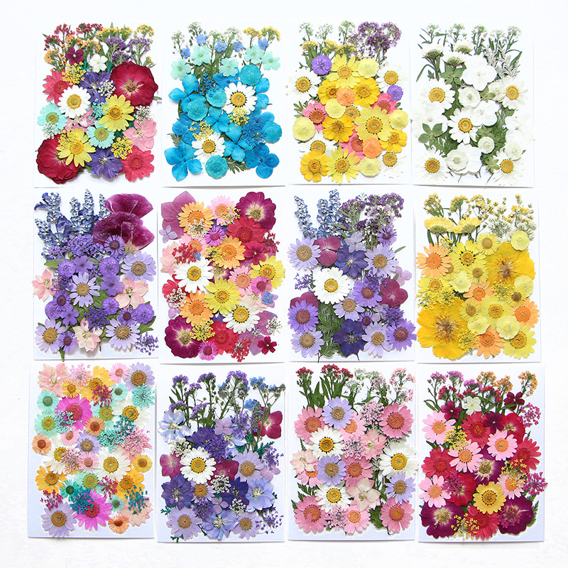 6pcsDried Flowers Real Natural - Flower Preservation Resin 评论和价格