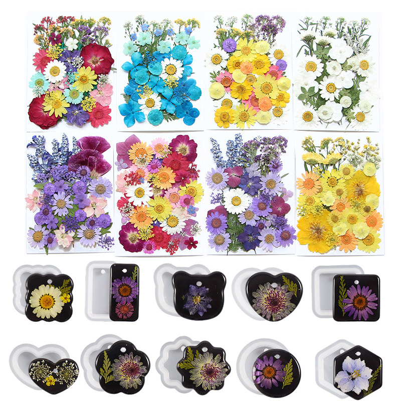 6pcsDried Flowers Real Natural - Flower Preservation Resin 评论和价格