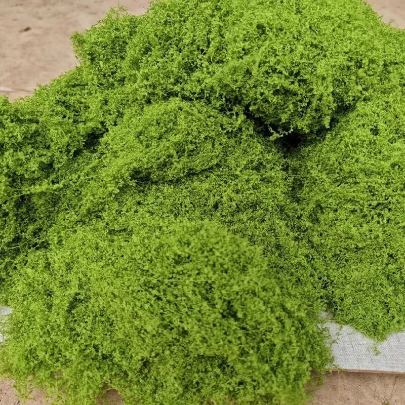 30g Fake Moss Artificial Green - Terrarium Moss Art 评论和价格