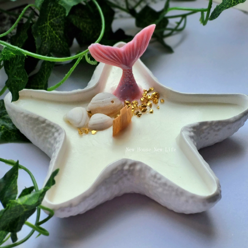 Mini Shell Concrete Storage Tr - Coaster Mold Round 评论和价格